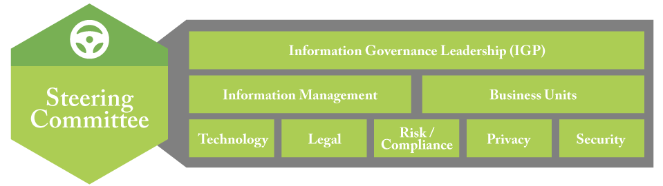 Information Governance Steering Committee